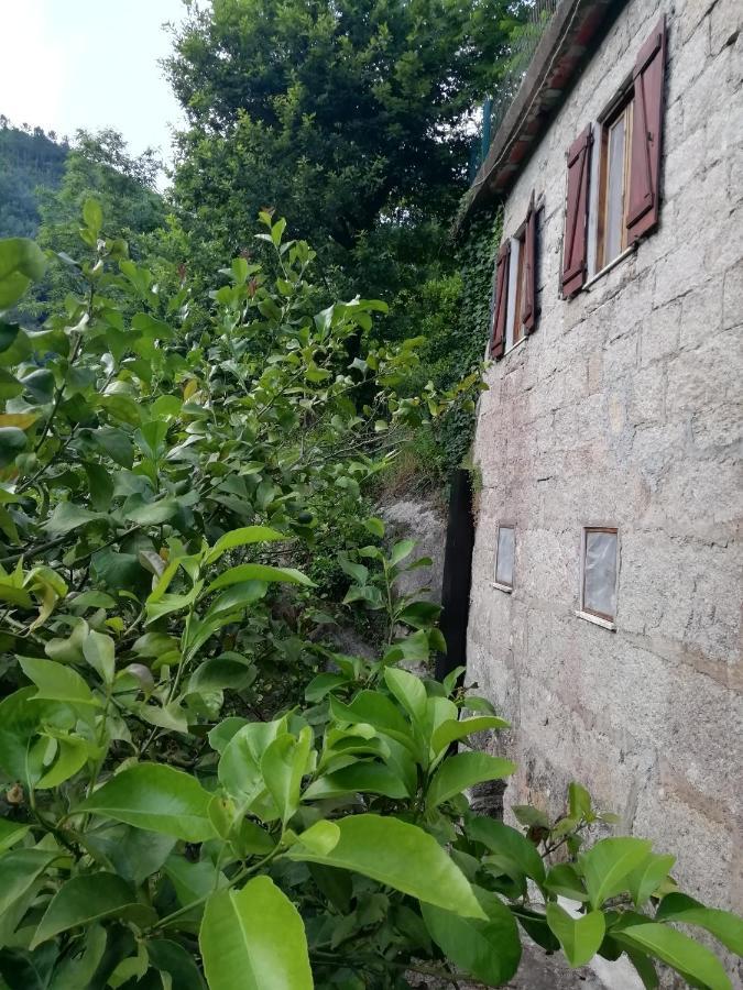 Hotel Campismo Rural Vale Dos Moinhos Gerês Exterior foto